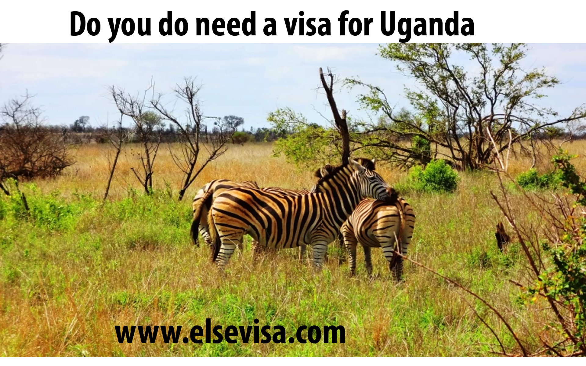 Uganda Visa The Simplest Process To Appeal For A Visa   Uganda Visa 2019 06 12 